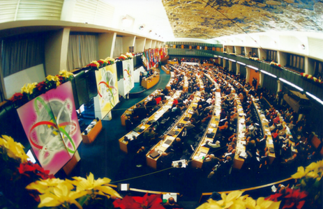 Roma FAO - I conferenza italiani nel mondo